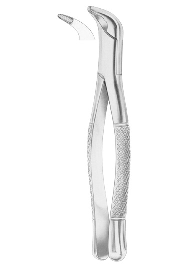 Fig. 203 lower incisors and roots 